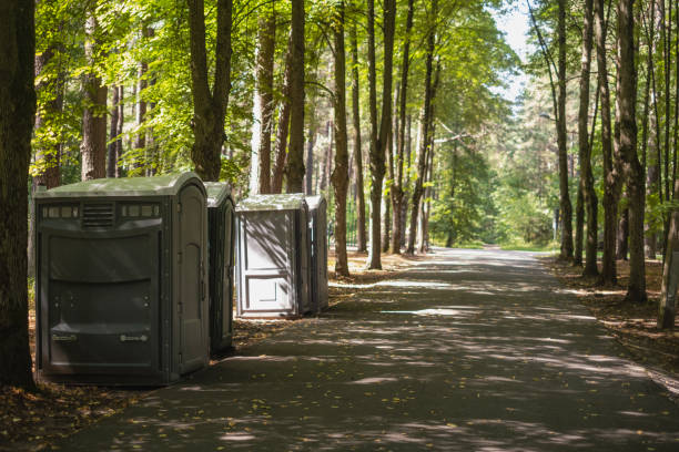 Trusted Silver Bay, MN porta potty rental Experts